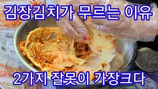 김장 김치가 무르는 가장큰이유 2가지~김장김치 맛있게 담그는법 김장김치양념만들기 김장배추 김장무