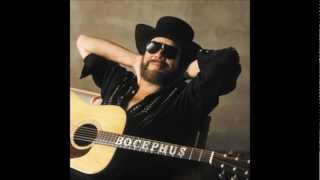 Hank Williams Jr Why Don&#39;t We all a Long Neck.wmv