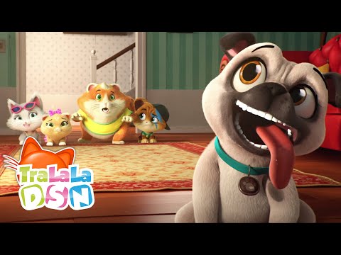 Un prieten câine 🐕 | 44 de Pisici | Desene animate în română - TraLaLa