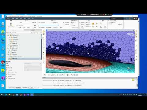 Fluent meshing airplane
