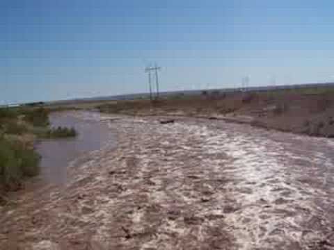 Flash Flooding 9 S Artesia, NM #3-Cow Swept Downstream