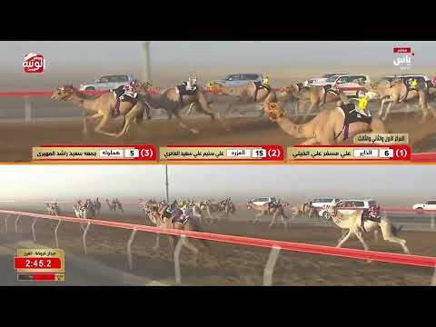ش 9 (مودة) لـ محمد سالمين بن مبارك العامري 4:32:71 ، مهرجان العين 2026/07/06 حقايق الروضة