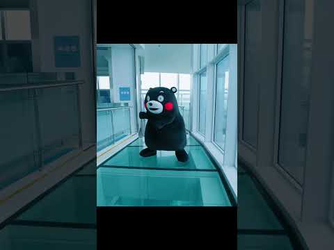 \Kumamon tem vista para o mar azul de Busan🔭✨／