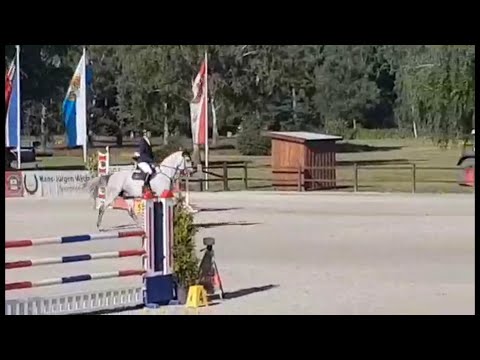 Turnierimpressionen - Crack in Westergellersen