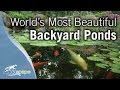 World's Most Beautiful Backyard Ponds