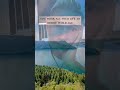 Modern Slavery Enjoy Your Life While You Can For Viral Best Shorts Life Motivation