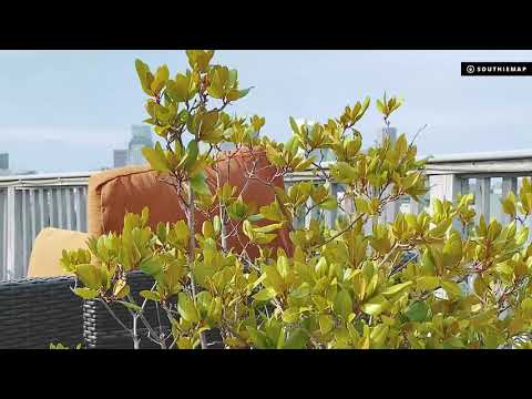 Spacious South Boston Condo