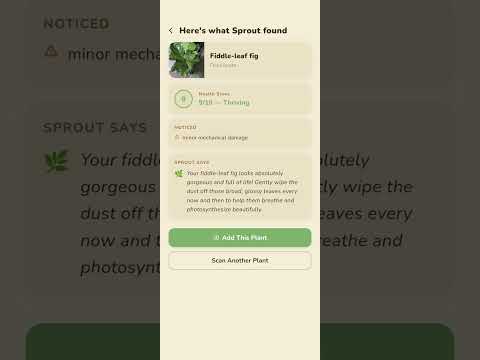 Willowkeep: Plant Care Tracker
