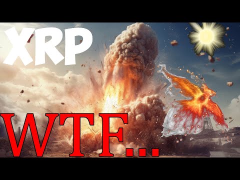 X Rising Phoenix Ripple Ripple XRP I AM LITERALLY ABOUT TO EXPLODE LET IT ALL BURN RISE PHOENIX ...