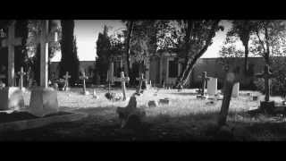 preview picture of video 'A trip to Venice's cemetery'