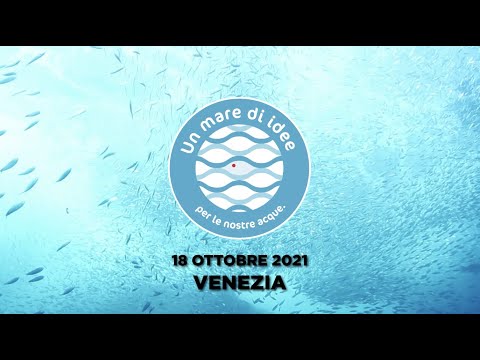Anteprima video