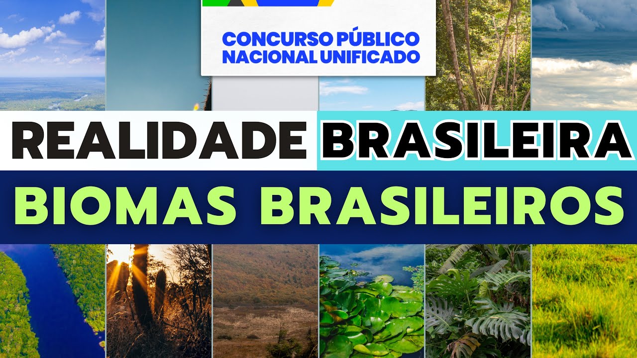 Aula 38 | Realidade Brasileira - BIOMAS - CNU