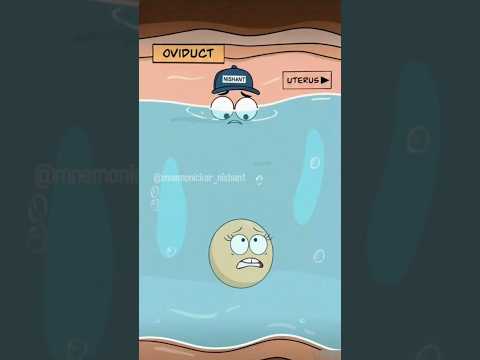 Hydrosalpinx | Tube Me Paani Bharne Se Pregnancy Kyun Nahi Hoti ? #medicalanimation #medicalfacts