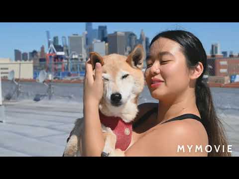 Hush puppy is Happy !!