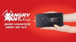 ³��� ����� ϳ�������� Kicx Angry 4CH