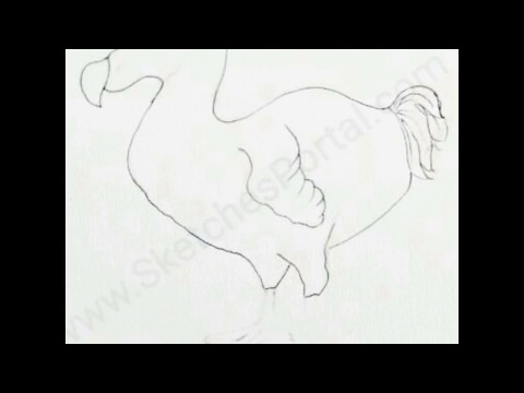 How to Draw a Dodo In 10 Steps - YouTube