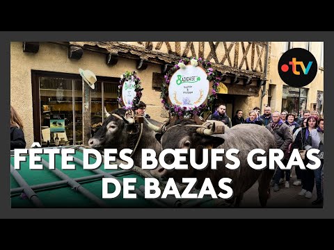 Tradition : 742ᵉ fête des bœufs gras de Bazas