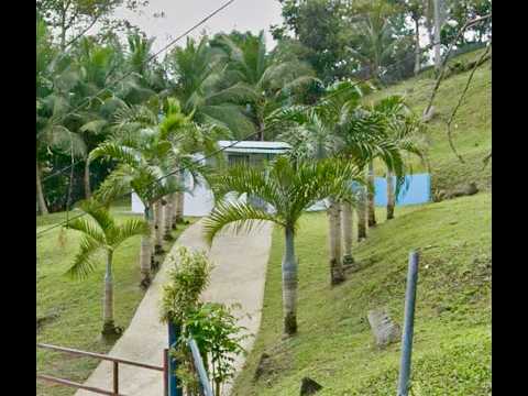 img-video