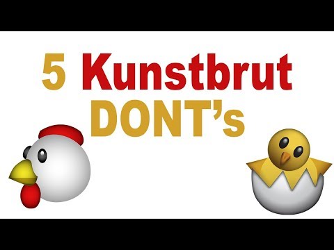 5 Dinge, die Du NIEMALS bei deiner Kunstbrut machen darfst! Brutmaschinen Fehler