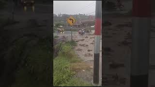 Download lagu banjir di Jl. Wonosari - Pakis, Gondangsari, Kec. Pakis, Kab. Magelang, 24/11/2023 mp3