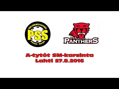 TSM-karsinta PSS - Panthers maalikooste