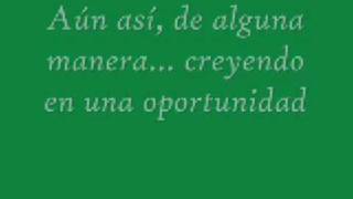 Perdido en el bosque TAPROOT Subtitulado