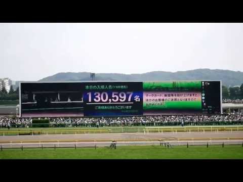 第83回　日本ダービー　入場者数　東京競馬場　2016.05.29