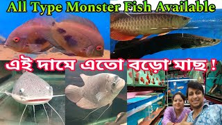 All Type Monster Fish Available | Aquarium Fish Shop Babai Aquatic Khardaha | Monster Fish Shop