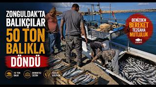  Zonguldak’ta Balıkçılar 50 Ton Balıkla Döndü