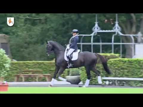 Livaldon 2015 (english)