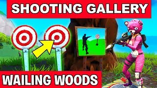 &quot;Get a score of 5 or more at the Shooting Gallery East of Wailing Woods&quot; - LOCATION Fortnite Week 10