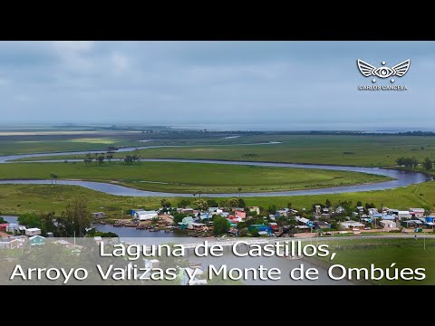 Laguna de Castillos, Arroyo Valizas y Monte de Ombúes, Rocha-Uruguay.