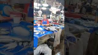 Download lagu #shortfeed mp3 Download lagu #shortfeed mp3