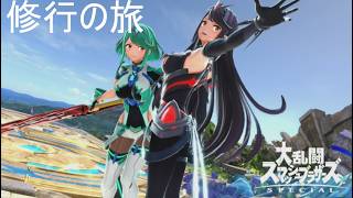 スマブラSP　空腹との戦い　なので修行