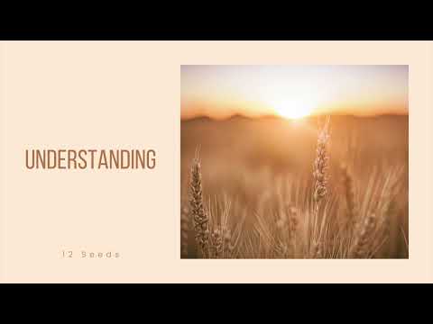 Martin Ben David - Understanding (12 Seeds)