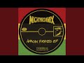 African Pirates (TroubleMan Remix)