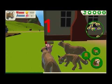 Cougar Simulator: Big Cats Video