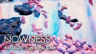 Re-TROS: Pigs in the River