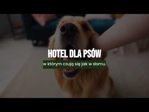 Leśna Kraina Hotel dla psów Hodowla psów - video