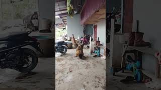 Download lagu 15 Maret 2026 mp3