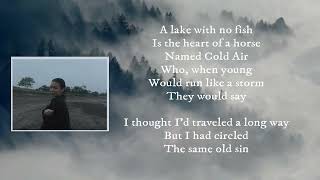 Mitski - i A Horse Named Cold Air (Lyrics)