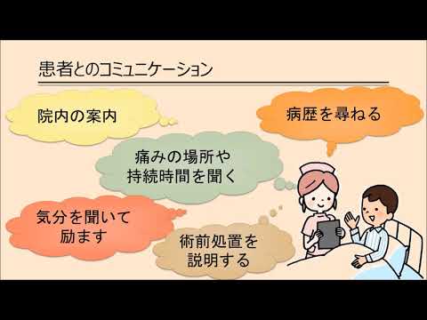 一般教養・英語のコースの紹介