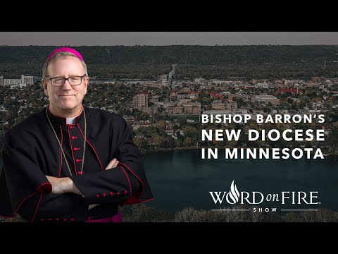 Bishop Barron’s New Diocese in Minnesota