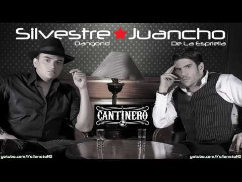 Silvestre Dangond - Cantinero (Con Letra) - *Vallenato 2010*