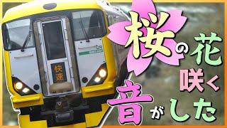 【鉄道旅ゆっくり実況】#15　桜の花咲く音がした　～2021年春休み　関東大回りの旅～