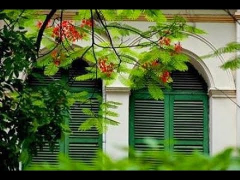 Thể hiện bởi Duy Quang
