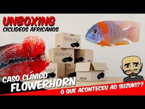 Compresse prezzo Prostamol Massaggio prostatico a casa