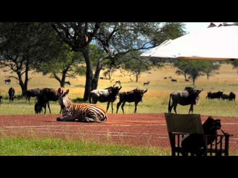 Singita Sabora Tented Camp