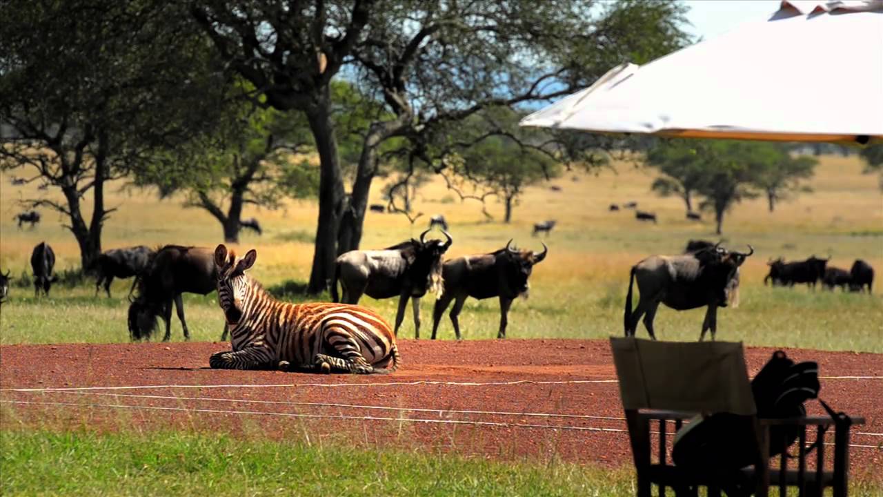 Singita Sabora Tented Camp