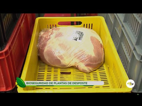 , title : 'Porcicultura: así debe ser la bioseguridad en las plantas de desposte de los cerdos -La Finca de Hoy'